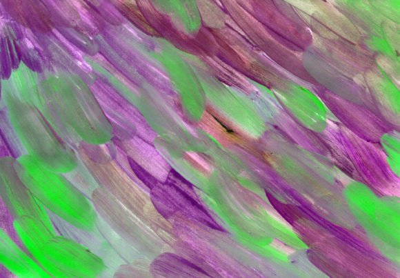 Green Pink Digital Paper: A Creative Resource for All